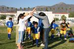 C-Elephants  0070_resize